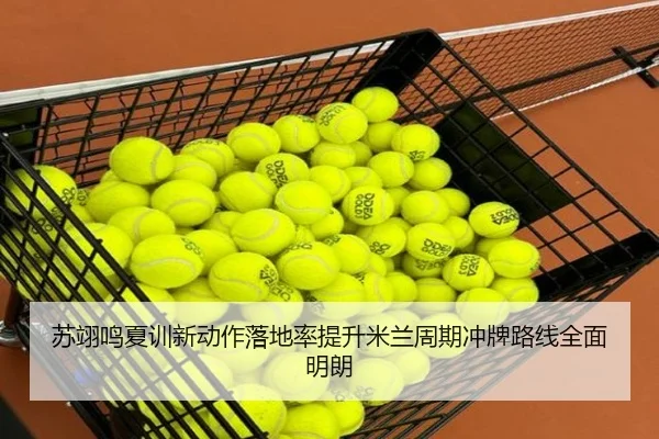 苏翊鸣夏训新动作落地率提升米兰周期冲牌路线全面明朗（kaiyun）